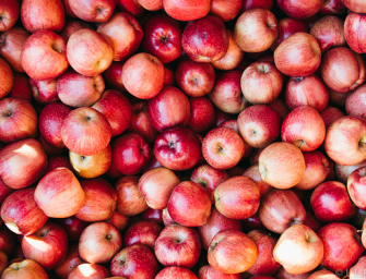 Apples & Entrées for Institutions