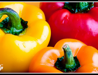 Ontario Greenhouse Vegetables | Peppers
