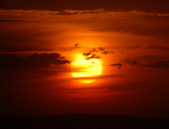 The Importance of Vitamin D