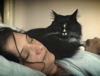 Sleep: Are You Getting Enough?