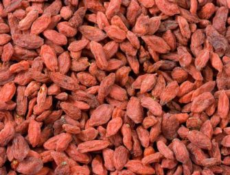 Goji Berry: The Red Diamond