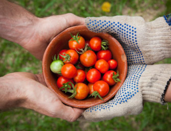 Local Food Movement in Health Care
